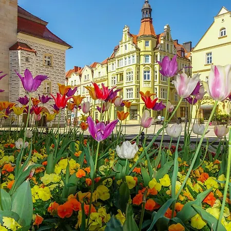 Przy Starowce - Zoni - 2 Osobne Sypialnie, 2 Separate Bedrooms In Old Town - Main Square, Amazing View, Location! アパート *