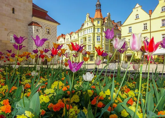 Przy Starowce - Zoni - 2 Osobne Sypialnie, 2 Separate Bedrooms In Old Town - Main Square, Amazing View, Location! アパート *